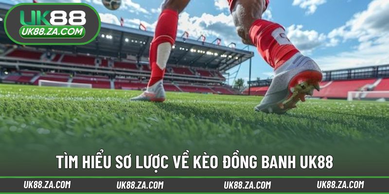 Khái quát bản chất và cách hiểu tỷ lệ đồng banh