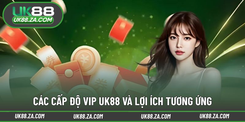 Phân chia cấp độ và quyền lợi đi kèm